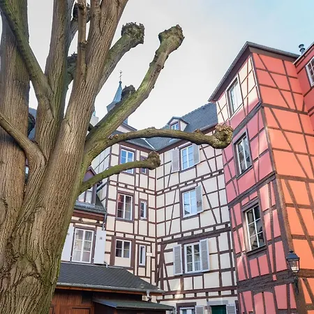 Strasbourg mon Amour - COZY - RBNB Extérieur photo