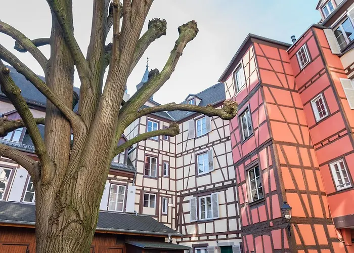 Strasbourg mon Amour - COZY - RBNB